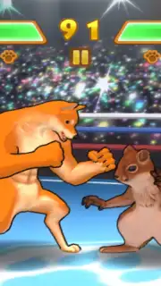 Fight of Animals capture 6