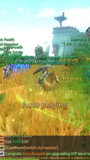 Silkroad Online capture 6
