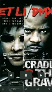 RiMusic capture 2