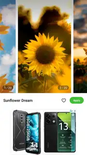 MiWallpaper capture 4
