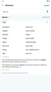 Reverso Translation Dictionary capture 20