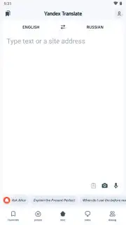 Yandex Translate capture 1