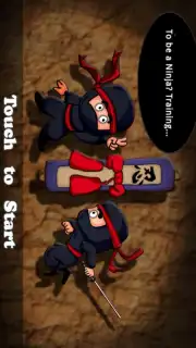 Ninja Dash capture 2