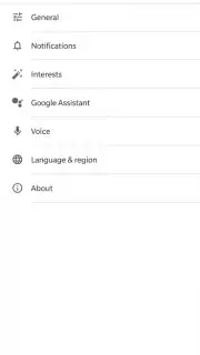 Google App capture 5