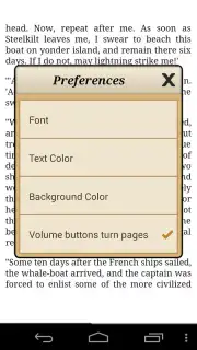 Ebook Reader capture 9