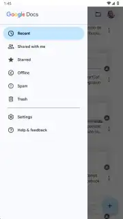 Google Docs capture 11