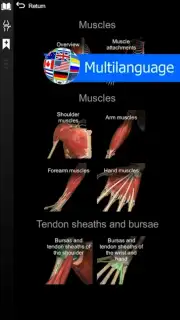 3D Anatomy Learning capture 1