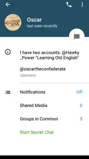 Via Messenger - Unofficial Telegram App capture 18