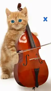 Talking, Dancing Cat. capture 5