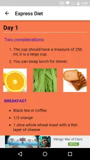 Express Diet capture 3