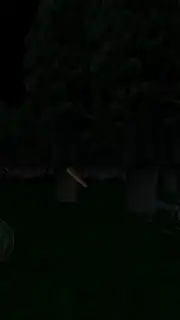 Baldi's Basics - Field Trip game capture 6