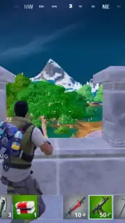Fortnite capture 13