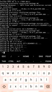 Termux capture 3
