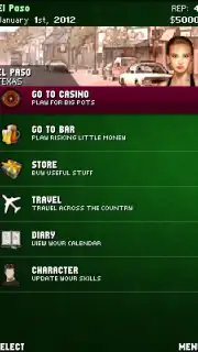 Professional Poker Lite capture 2