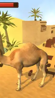 Camel Simulator capture 5