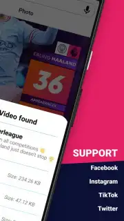 Video Downloader capture 4