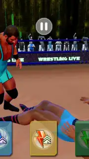 Tag Team Wrestling Games: Mega Cage Ring Fighting capture 5