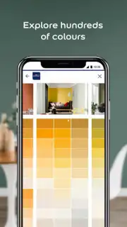 Dulux Visualizer IN capture 4