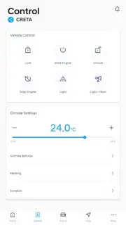 Bluelink capture 7