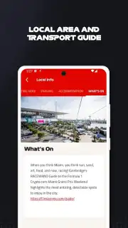 F1 Race Guide capture 2