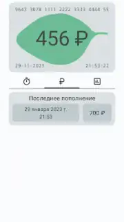 Баланс проездного capture 5