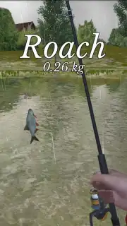 Ultimate Fishing Simulator capture 6