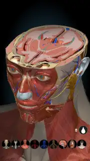 3D Anatomy Learning capture 8