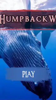 The Humpback Whales capture 19