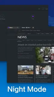 Web Browser capture 3