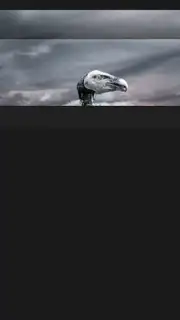My Movies Free capture 12
