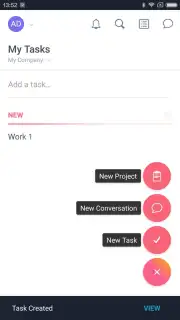 Asana capture 1
