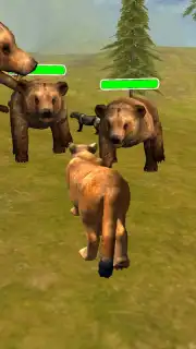 Puma Survival capture 4