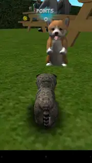 Cat Simulator capture 1