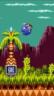 Sonic CD capture 11