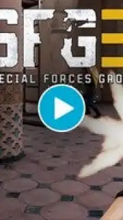 Special Forces Group 3 capture 1