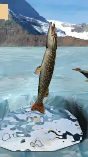 Winter Fishing 3D capture 5