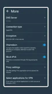 hidemy.name VPN capture 1