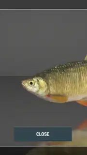 Fishing Planet capture 4