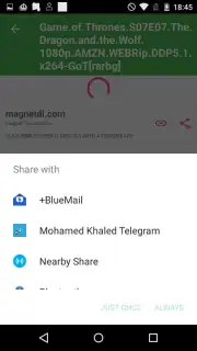 Torrent Search capture 2