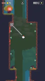 Super Fowlst capture 2
