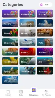 Jigsawscapes capture 7