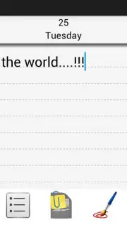 Diary capture 8