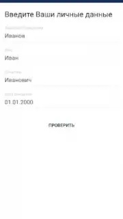Госуслуги СПб capture 4