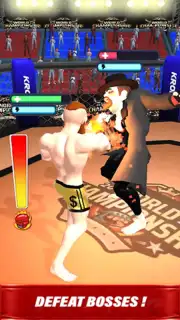 MMA Legends capture 2