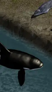 Orca Simulator capture 2