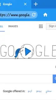 Fast browser W browser capture 4