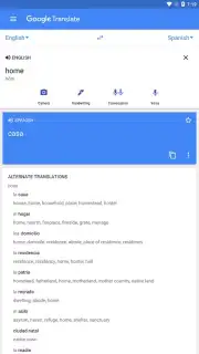 Google Translate capture 3