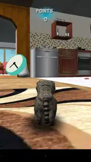 Cat Simulator capture 3