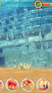 Fish Live capture 4