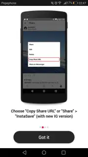 InstaSave capture 7